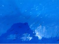 The deep blue Pacific