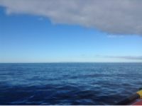 Guadalupe Island in the distance